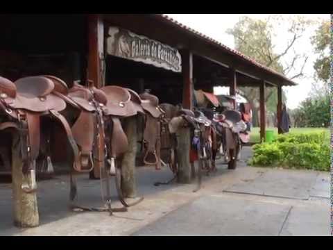 HARAS E RAÇAS - HARAS BALDAN (SEGUNDA-FEIRA)