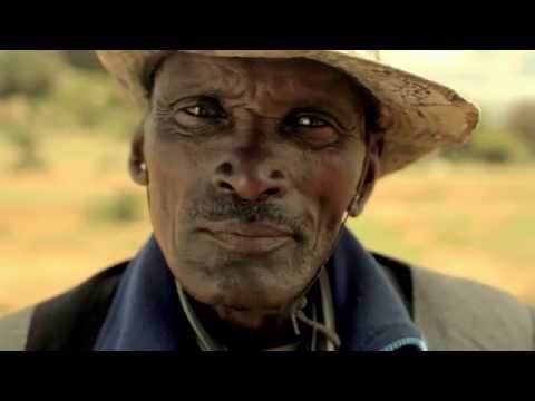 Warriors Cinema Trailer