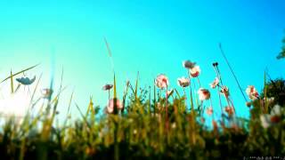 Jallen - Dreamcatcher (Sunlight Project Remix)