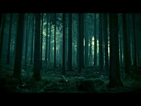 Black Metal Playlist To Enjoy The Nature #05