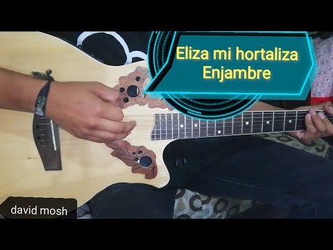 Eliza Mi Hortaliza - Enjambre