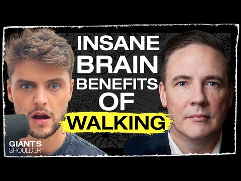 Neuroscientist Shane O Mara: Walking, Creativity and Dopamine