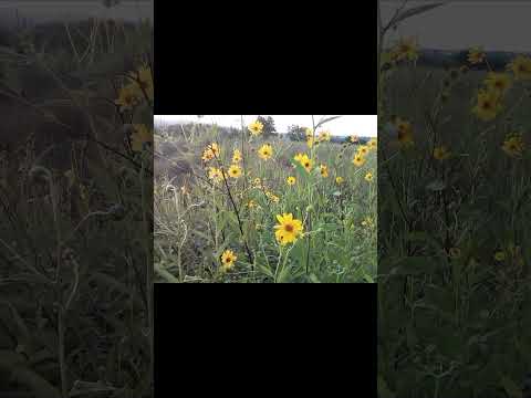 Infinite Love - Ernesto Cortazar