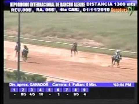 Resumen Lunes 1° de noviembre 2010 - Rancho Alegre