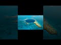 Darwin's Reef Atolls #naturalhistory #species #wildlife #biozoology