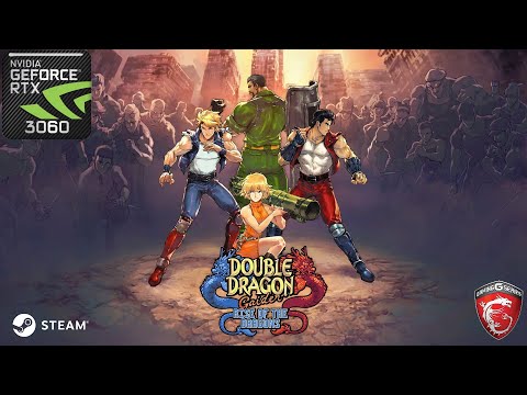 Double Dragon Gaiden: Rise Of The Dragons Steam Charts & Stats