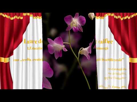 Dezvoltarea creativității la educația tehnologică