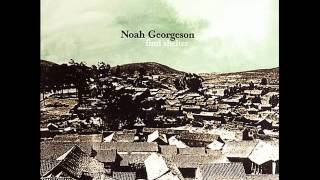 Noah Georgeson - Priests Of Cholera