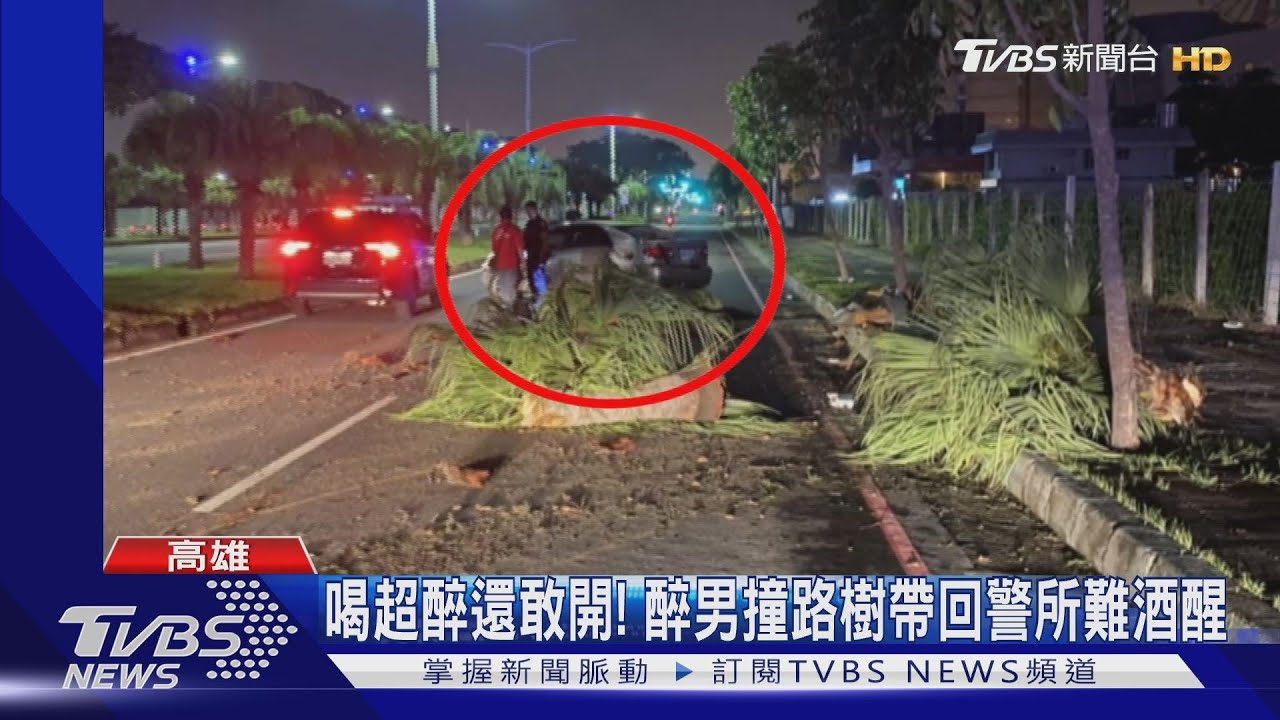 喝超醉還敢開！　醉男撞路樹帶回警所難酒醒