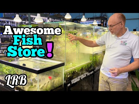 Hobbyist Dream | Nature Aquariums Fish Store Tour