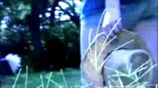 'Over the Pond' by The Album Leaf - Music Video