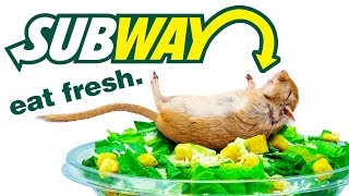 Top 10 Things Subway DOESN&#39;T Want You To KNOW!