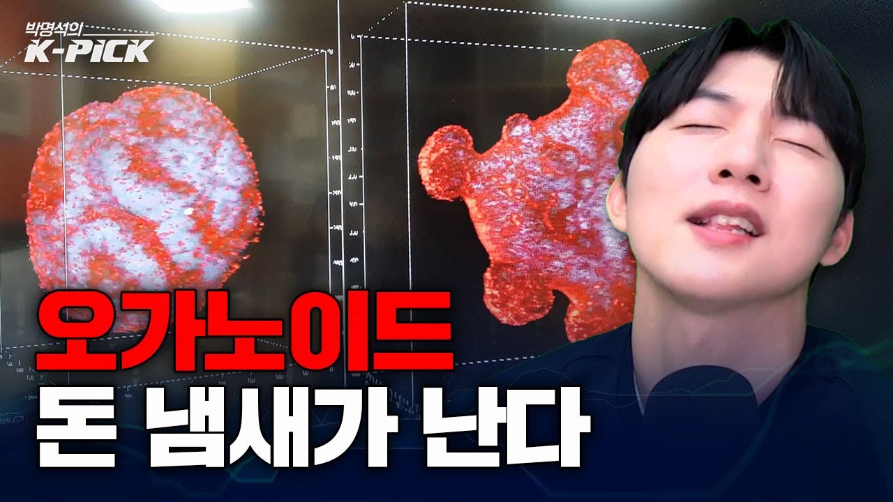 신약개발 ‘실패 비용’ 줄이는 기술, 오가노이드가 뜬다
