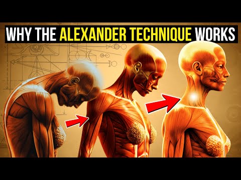 The Hidden Head–Neck–Spine Axis: This Inhibition Code Unlocks Pain at the Source