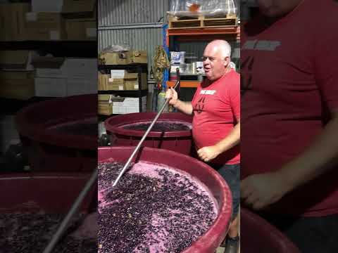 Mornington Peninsula Plunge Wine Tours