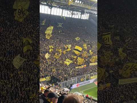 Is Borussia Dortmund’s Yellow Wall the best atmosphere in football? 🟡⚫️🤔 #football #bvb #dortmund
