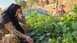 Download lagu What happened to Banu Zari's garden? mp3