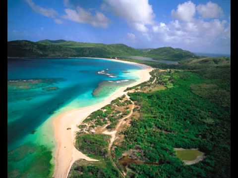 Drasto This is what they want