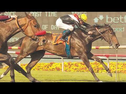 CHRHF 2025 Thoroughbred Female Horse -  Marketing Mix