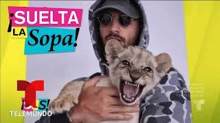 Maluma no aguantó más y dejó Instagram | Suelta La Sopa