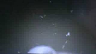 Die Hard 2 - Secret Agent Man