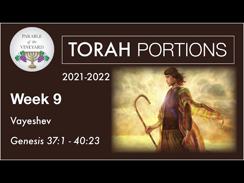 Torah Portions - Week 9 -  Vayeshev - Genesis 37:1 - 40:23 (2021-2022)