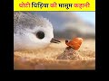 छोटी चिड़िया की कहानी समुंद्र की लहरो�