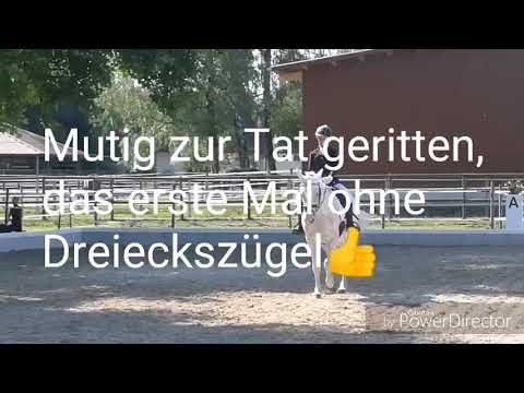 TdJ Dielsdorf (OKV) 1.7.18 - Die Fuhrhalterei