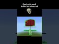 Goofy Ahh Ww3 Trailer But Minecraft Memes Ww3 Minecraft Ohio Shorts Fypシ