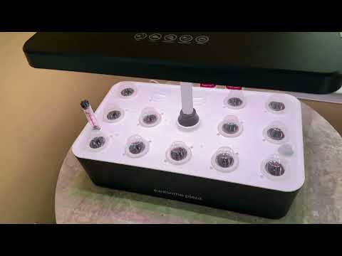 Awesome Plant 14 Pro Hydroponic Growing Kit Setup and Review
