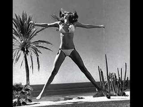 The Nightflyer -- Voyage Voyage Remix