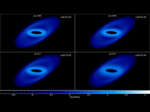 SPH Simulations of Accretion Discs around Kerr Black Holes: renderings