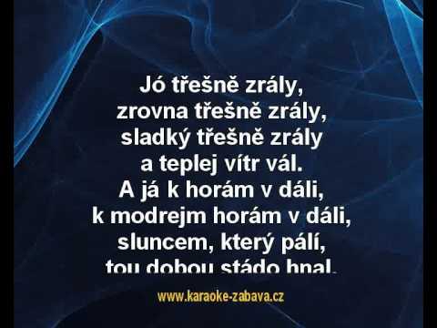 Směs písní 60 let - disco verze - Různí interpreti Karaoke tip