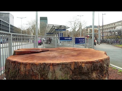 "An act of environmental vandalism at its worst"