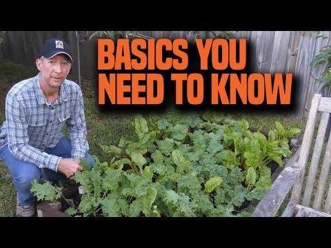 download lagu mp3 mp4 What Vegetables To Plant In July In Florida, download lagu What Vegetables To Plant In July In Florida gratis, unduh video klip What Vegetables To Plant In July In Florida