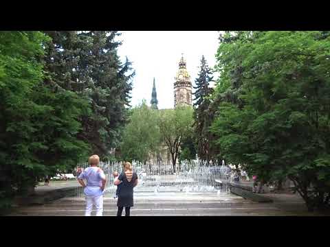 物理マップを表示する