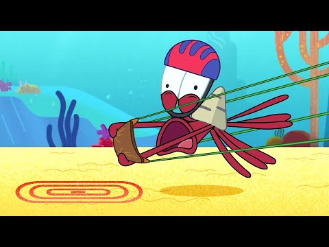 Slingshot Bernie | NEW The Adventures of Bernie | Zig & Sharko - Cartoons for Kids