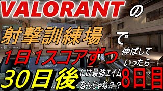 【VALORANT】の射撃訓練場で１日１スコアずつ伸ばしていったら３０日後には最強エイムなんじゃね？？？　＃８日目