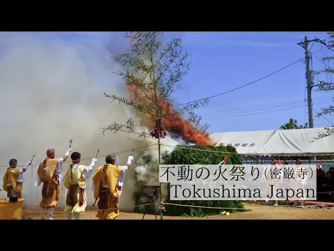 不動明王の炎が願いを導く/不動の火祭り（密厳寺）　Mitsugon-ji Temple :Fudo Myoo's flames guide wishes