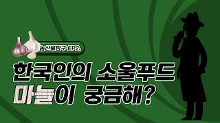 한국인의 소울푸드 마늘이 궁금해!? | 농산물 탐구생활 ep. 2