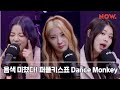 퍼플키스 PURPLE KISS - Dance Monkey 커버 [LIVE] / 심야아이돌