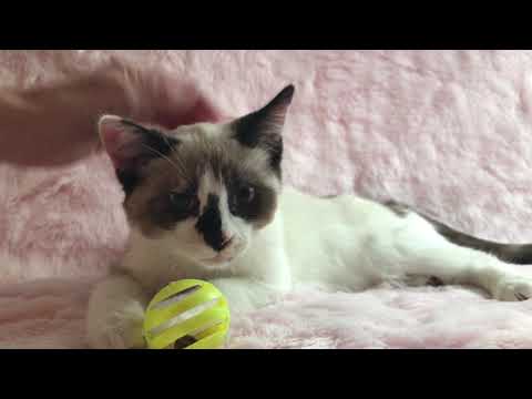 MCA Presents Kristin!