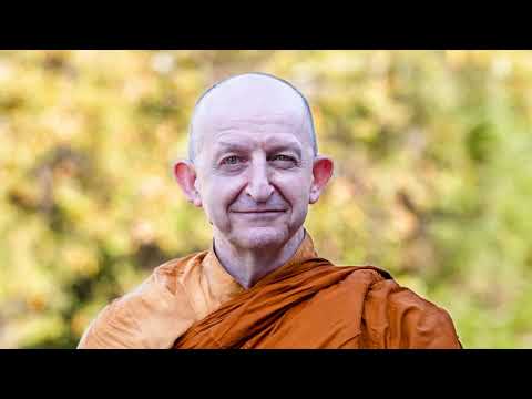 Mindfulness of Awkward Feeling |Ajahn Amaro