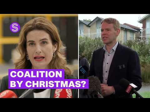 Thumbnail for National hits out at Labour's promise to form a coalition by Christmas | Stuff.co.nz