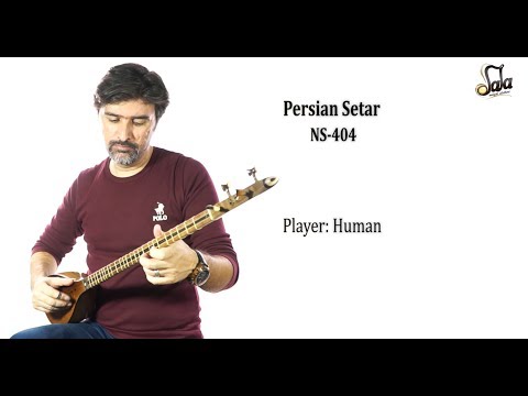 Persian Setar NS-404