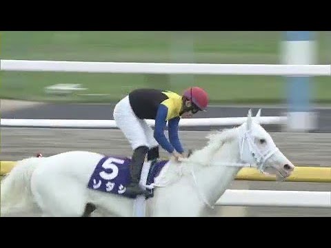 Amazing white filly! Sodashi wins the Grade 1 Victoria Mile! 😍
