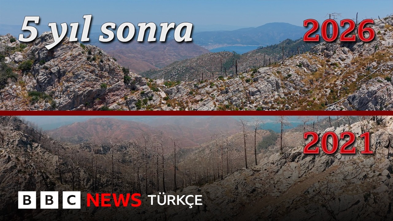 Marmaris ve Bodrum yangınları: 5 yıl sonra aynı yerde