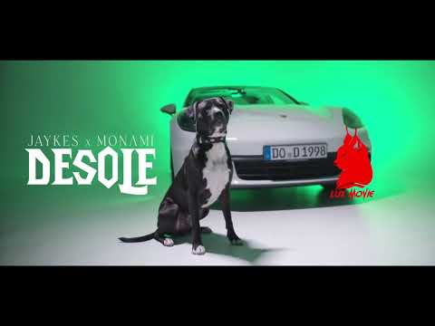 JAYKES ft. MONAMI - DÉSOLÉ  (prod. by DMSbeatz )