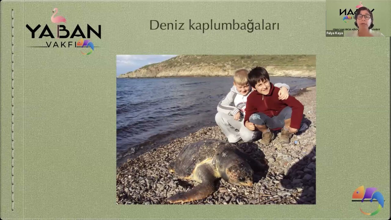 Yangınlarda Yaban Hayvanlarına Yaklaşım