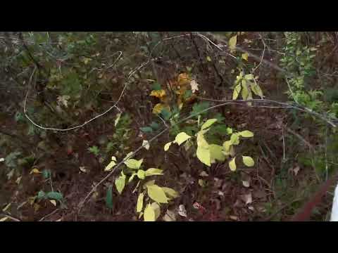 Mom, I made a mistake!